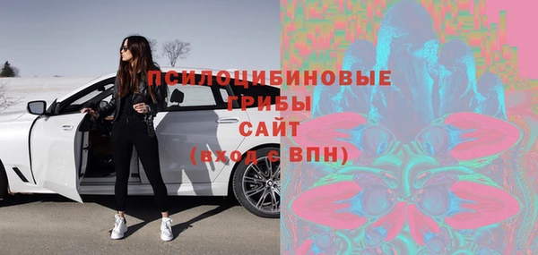 прущая мука Арсеньев