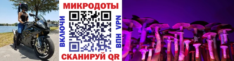 Галлюциногенные грибы Psilocybe  Купить  Мосальск 